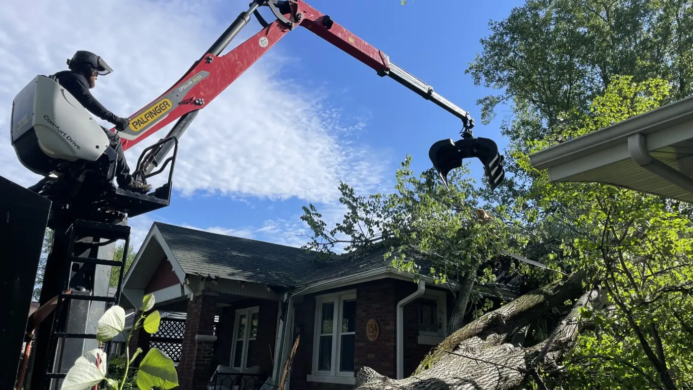 Emergency Tree Services