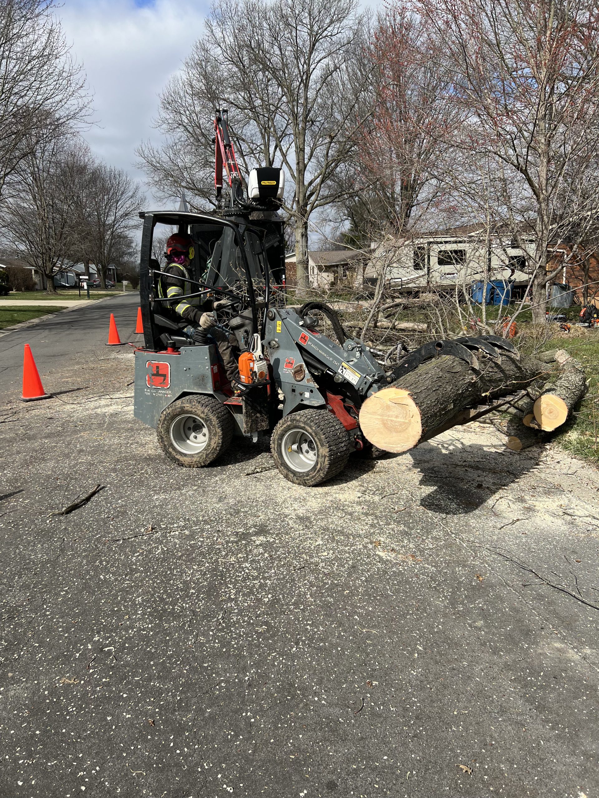 tree removal services