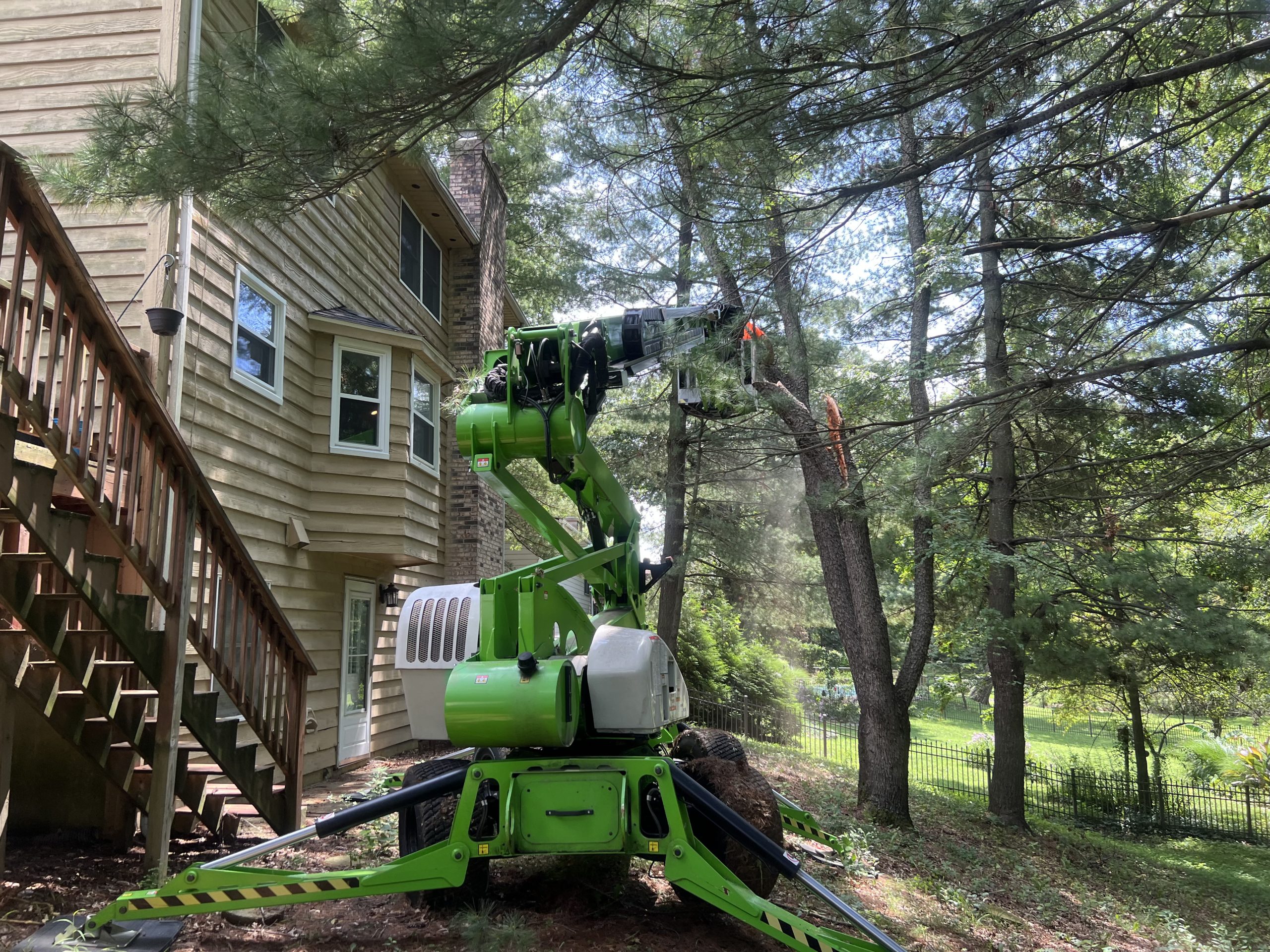 tree trimming example by arbor management in illinois